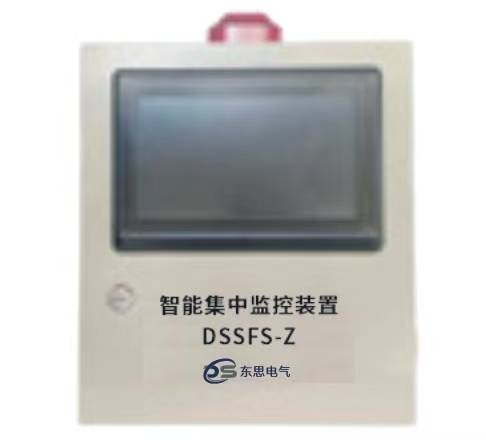 DSSFSϵϵͳ